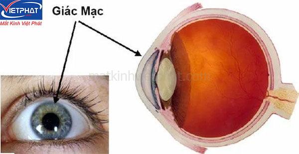 6 bệnh về mắt ở người già thường gặp bạn cần biết 9 các bệnh về mắt ở người già