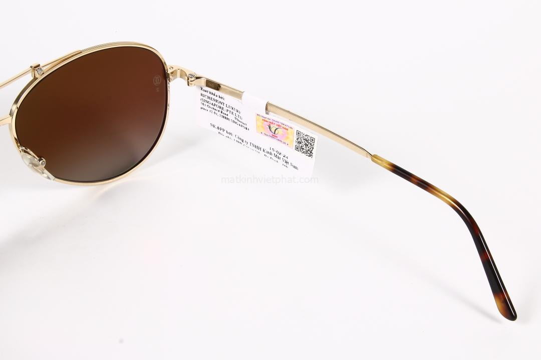 Kính mát Cariter CT0083S 15 Thiết kế thanh lịch