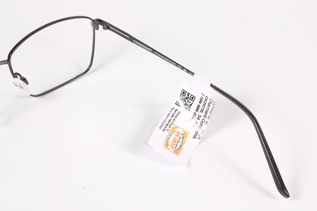Gọng kính Charmant CH29735 9 chi tiết sang trọng