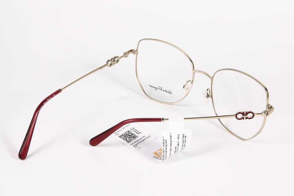 Gọng kính Salvatore Ferragamo SF2219 11 Gọng kính Salvatore Ferragamo SF2219