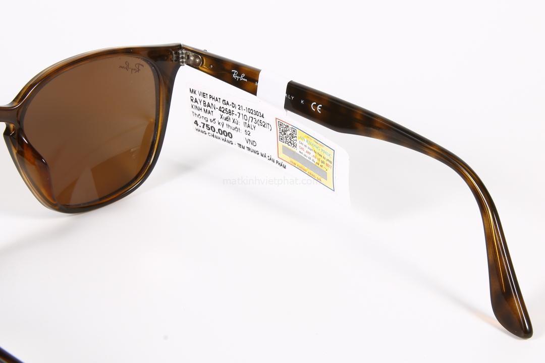 Kính mát RayBan RB4258F-710/73 8 Càng kính chắc chắn - chi tiết tinh sảo