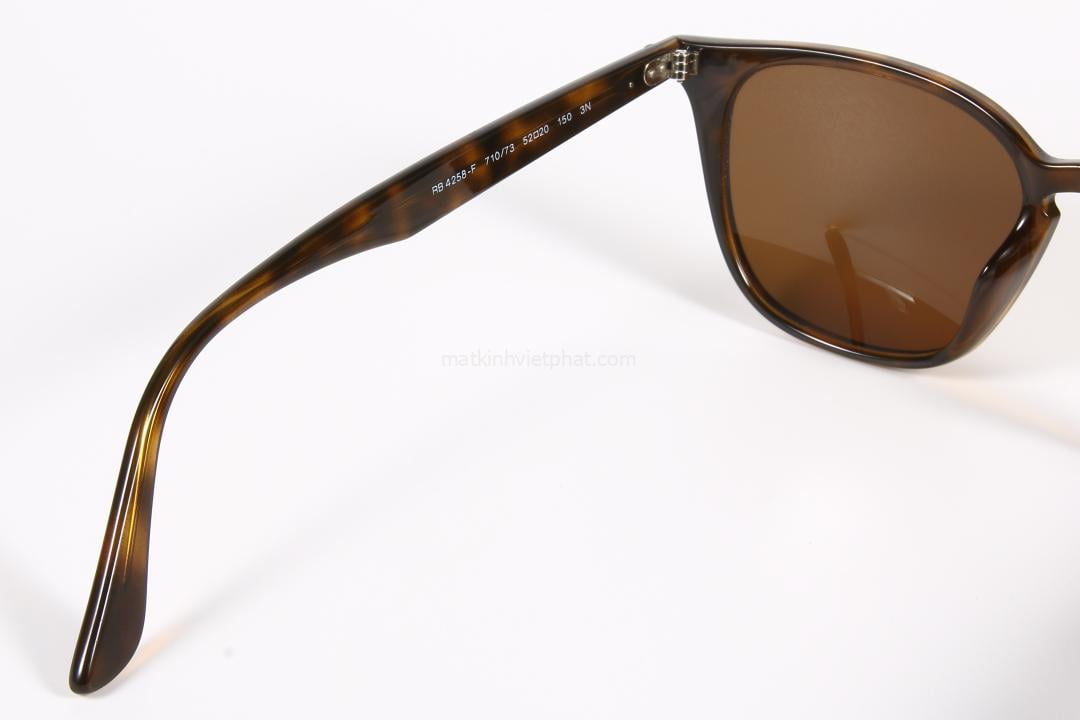 Kính mát RayBan RB4258F-710/73 7 Thông số kính - chi tiết càng kính trái