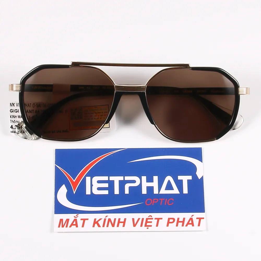 Kính mát GIGIStudios GRANT 6670 14 Kính mát GIGIStudios GRANT 6670