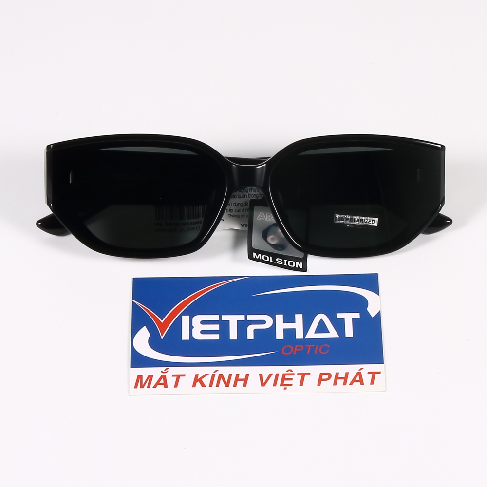Kính mát Molsion MS5066 14 Kính Mát MOLSION MS5066-C10