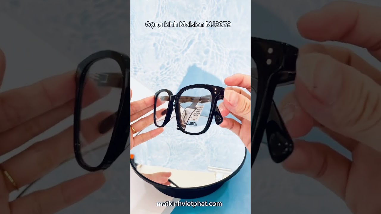 Gọng kính Molsion MJ3079