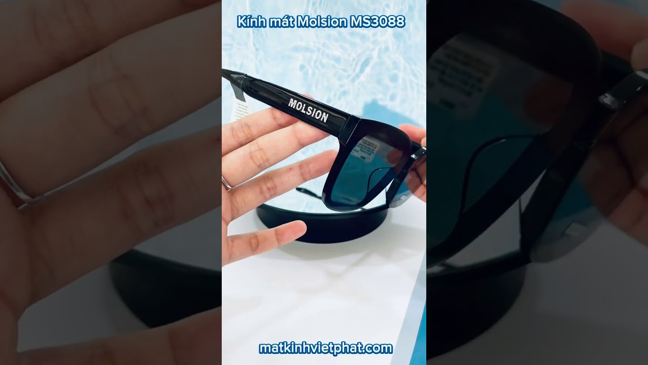 Kính mát Molsion MS3088