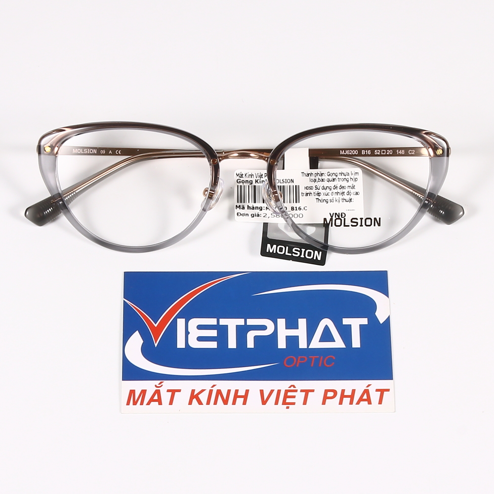Gọng Kính Molsion MJ6200-B16 12 Gọng Kính Molsion MJ6200-B16