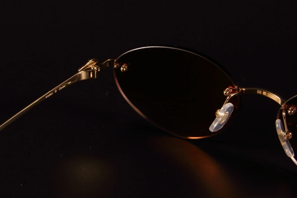 Kính mát Cartier CT0504S 40 Kính mát Cartier CT0504S