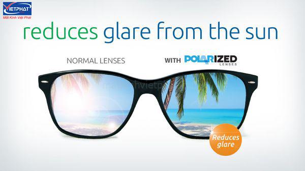 Kính Polarized là gì? Cách nhận biết mắt kính phân cực Polarized 9 So sánh kính polarized và kính thường