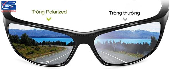 Kính Polarized là gì? Cách nhận biết mắt kính phân cực Polarized 11 Lợi ích khi sử dụng kính Polarized