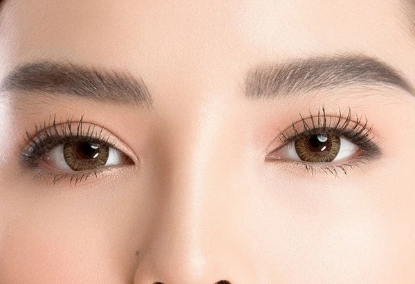 Các đặc điểm nhận dạng chính của mắt nai là gì?