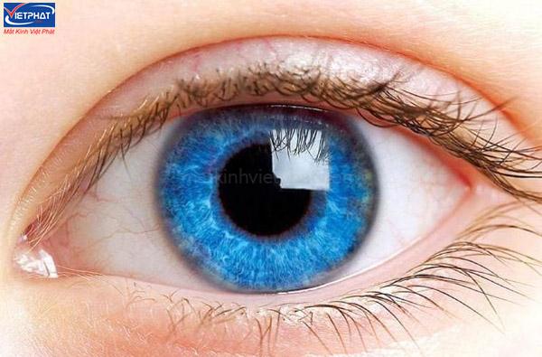 Mắt nhìn được xa nhất khi nào? Cách cải thiện tầm nhìn của mắt 5 Thị lực và tầm nhìn mắt
