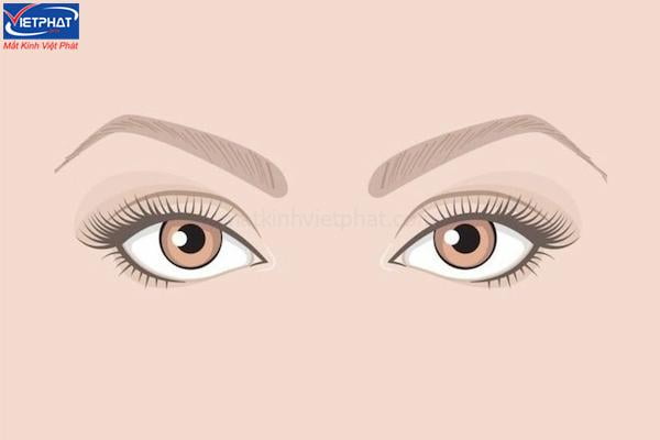 Mắt tam bạch là gì? Ý nghĩa tướng mắt tam bạch 8 mắt kính giá rẻ