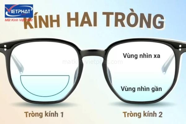 Tại sao người già thường phải đeo kính lão? 7 tại sao người già phải đeo kính lão